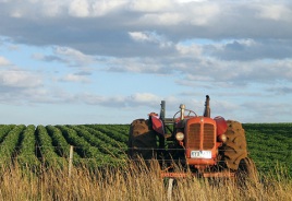 Agricoltura-e-trattore